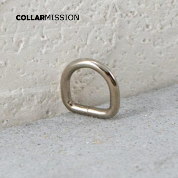 10mm Metal Non-Welded Plating Zinc Alloy D Rings For Backpacks Straps Bags  Cat Dog Collar D Buckles DIY Accessories DK10Y