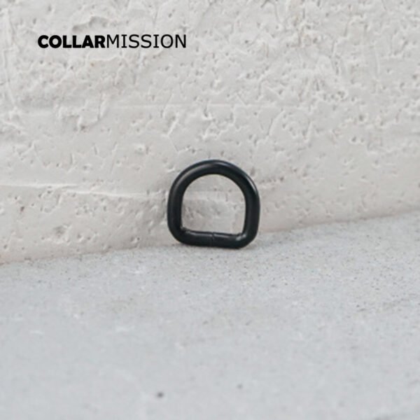 10mm Metal Non-Welded Plating Zinc Alloy D Rings For Backpacks Straps Shoes Bags Cat Dog Collar D Buckles DIY Parts DK10H