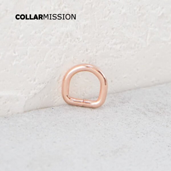 10mm Metal Non-Welded Adjustable D Rings For Backpacks Straps Shoes Bags Pet Collar Dee Buckles DIY Accessories DK10M