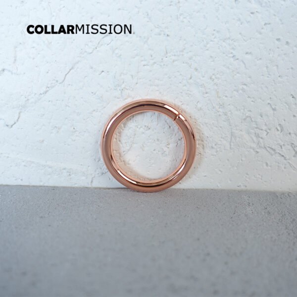 Metal Plated non-Welded 25mm rose gold O Rings  adjustable ring clip buckles Hooks for handbag back  YH25M