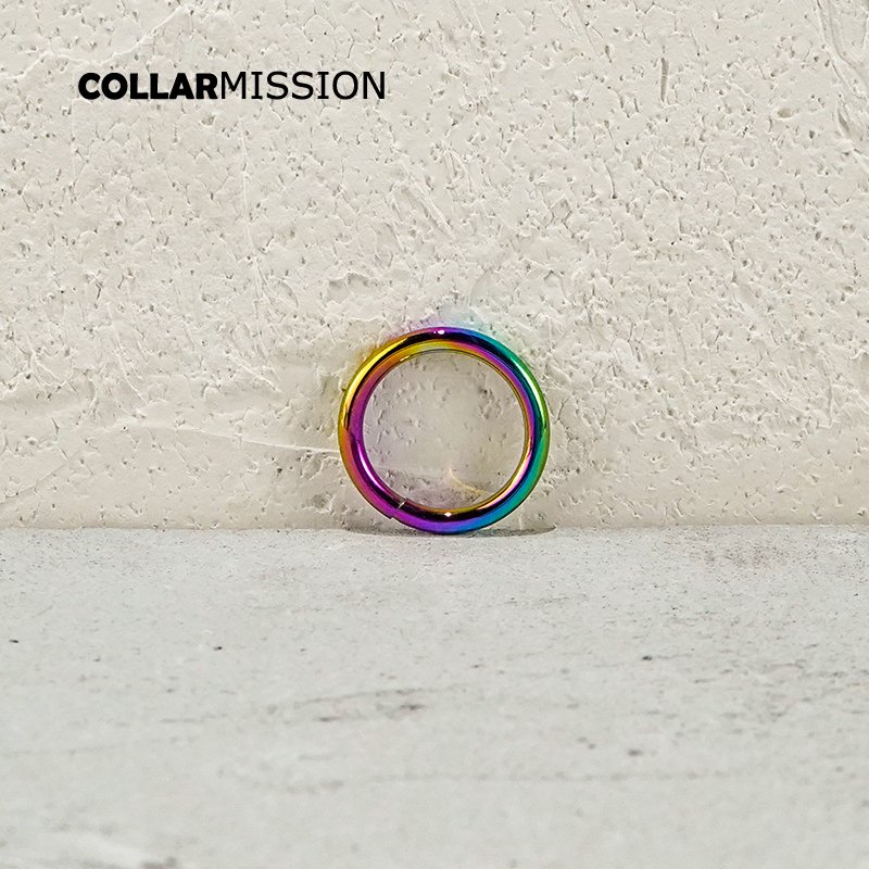 Rainbow 25mm metal 0-shaped ring link accessories are suitable for cats and dogs collars,webbing bags,backpack straps YH25CH