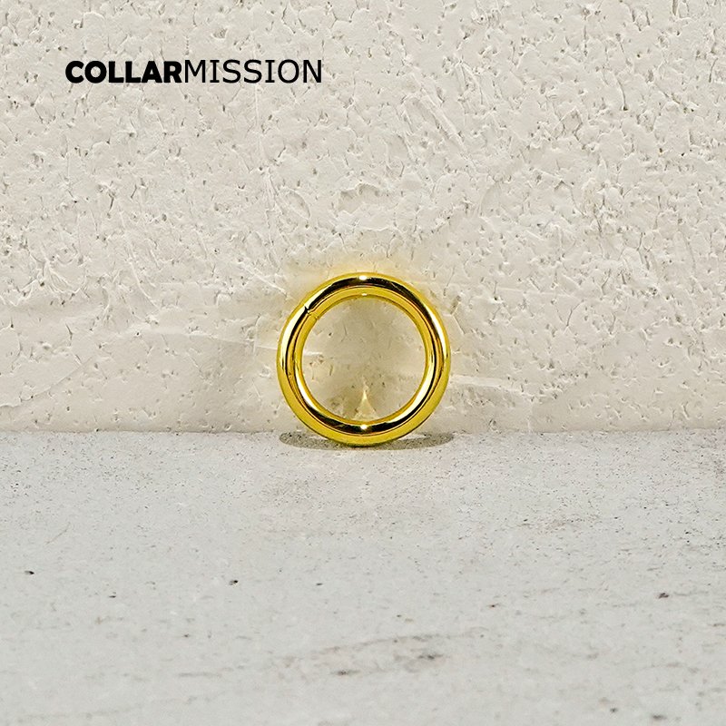 Pet clothing adjustable metal accessories 20mm yellow gold color clip DIY dog collar handbag bag accessories YH20HJ